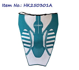 HK250301