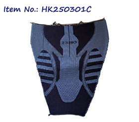 HK250301